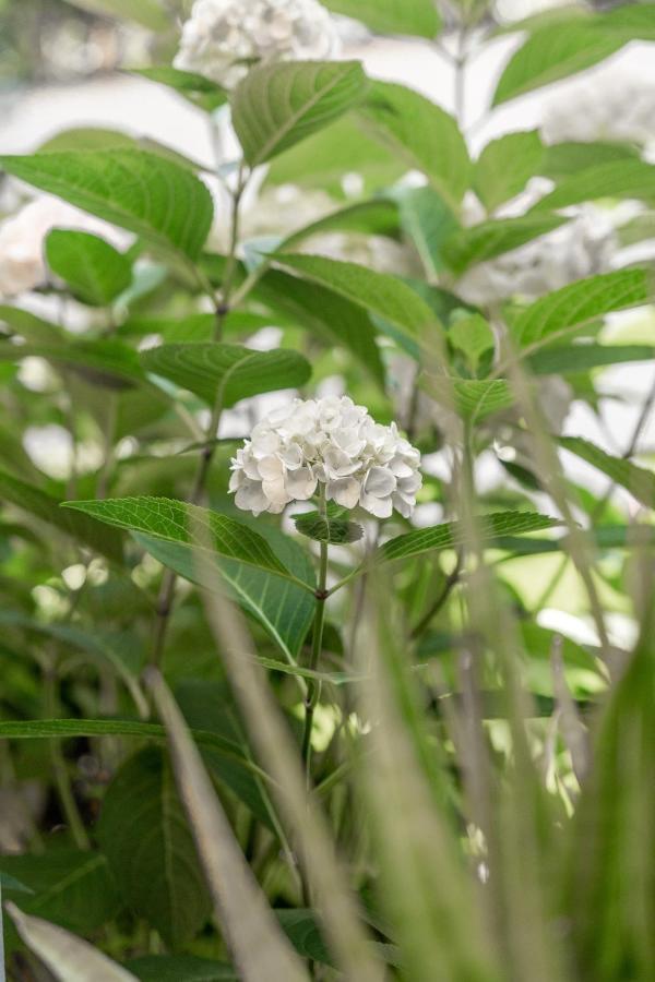 ברוז' Alliance Garden Room מראה חיצוני תמונה